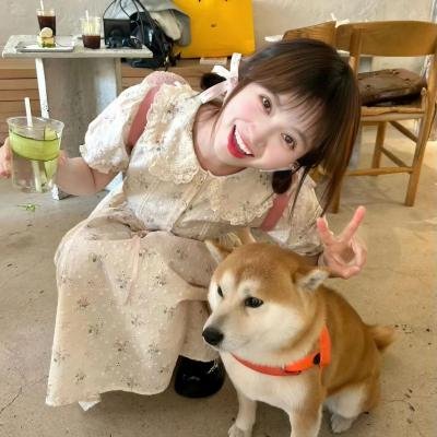 来吃晚饭的人